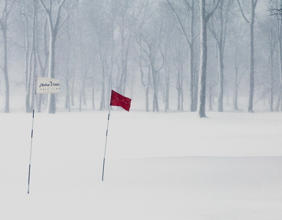 harbor oaks golf club putting green in snow