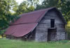 DSCN2966