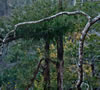 JOE0277-2
